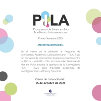 Convocatoria Pila investigadores/as 1-2025