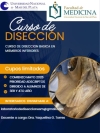 Curso básico de conservación y disección anatómica