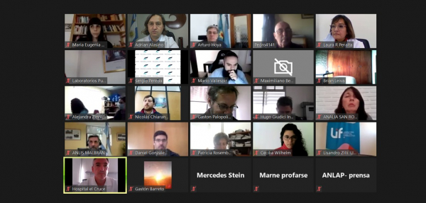 Se realizó reunión virtual del Comité Ejecutivo de Agencia Nacional de Laboratorios Públicos